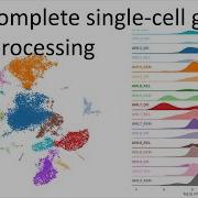 2024 Updated Single Cell Guide Part 1 RNA Preprocessing And Quality Control