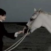 Emma Shapplin Nothing Wrong Macadam Flower Official Video