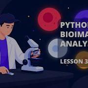 Bioimage Analysis Python 2026 Morpohological Operations Dilation Erosion Opening Closing