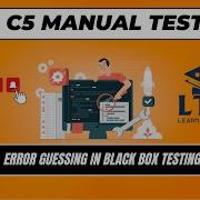 P15 C5 Manual Testing Error Guessing In Black Box Testing In Software Testing With Examples