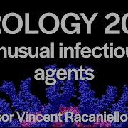 Virology Lectures 2026 24 Unusual Infectious Agents