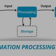 Information Processing Cycle Introduction To IT In Urdu Hindi