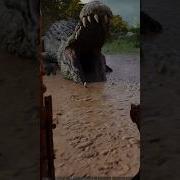 Худшее что я видел в Ark Survival Ascended Deinosauchus Arksurvivalascended Ark