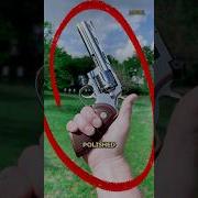 What Really Happened To The Colt Python In The 2000s Shorts