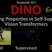 DINO Emerging Properties In Self Supervised Vision Transformers Facebook AI Research Explained