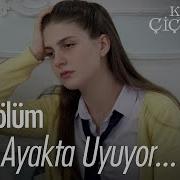 Kader Ayakta Uyuyor Kırgın Çiçekler 50 Bölüm
