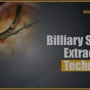 Endoscopic Retrograde Cholangiopancreatography ERCP Indications Overview