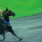 Big Lick Tennessee Walking Horse Champion An Exaggerated Extreme High Step Associated With Soring
