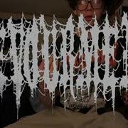 Festering Vomitous Mass DEVOURMENT Guitar Cover