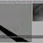 Pupil Responses During Discrete Goal Directed Movements