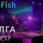 TripFish Волга Live