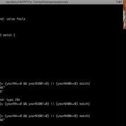 Scala Match Case Demonstration