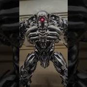 Shockwave ZS 01 Chrome Colour Custom