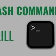 Bash Commands Kill Command
