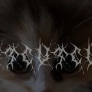 Zxcursed Cvtcvtcvt Snipp