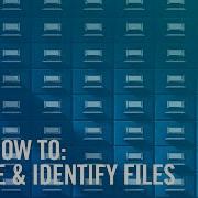 How To Manually Locate And Identify Files In Nuix