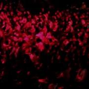 LTD Fall Rush Video 2012