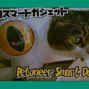 運動不足を解消して猫の肥満リスクを軽減 Petoneer Smart Dot スマートドット
