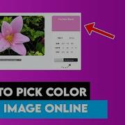 Image Color Picker How To Pick Color From Image Online
