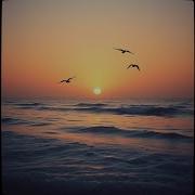 Fly Away