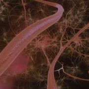 Geometric 360 Brain VR