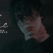 Toxic Multimale Multipsycho