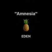 EDEN Amnesia Cover