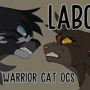 Warrior Cat OCs Divorce