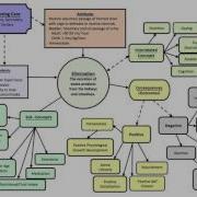 Concept Analysis Diagram Part 2
