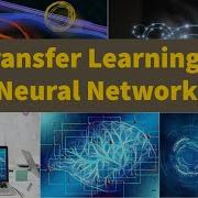 Transfer Learning In Neural Networks Pytorch