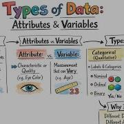 002 Types Of Data Attributes And Variables Data Numeric And Categorical Data Lean Six Sigma