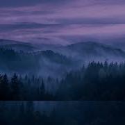 Fade Into Darkness SUPER SLOWED TO PERFECTION REVERB Narvent NEIN2558