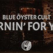 Blue Oyster Cult Burnin For You Lyrics