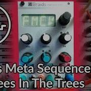 Braids Meta Eurorack Sequencer With Bees In The Trees