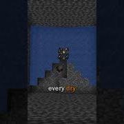 The BEST Spider Farm In Minecraft