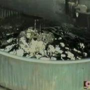 Bomb Experts Dispose Of Old Explosives