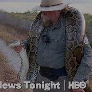 The Bounty Hunters Catching Pythons In Florida HBO