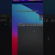 This Terminal Command Will PUNISH You