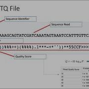 Introduction To Burrows Wheeler Alignment And Samtools For Cancer Mutation Calling Bioinformatics 1