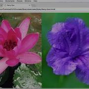 Easy Image Slide Show Using FancyBox Tool Part 1