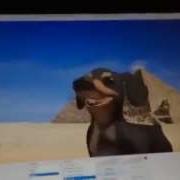 The Making Of Dog Of Wisdom