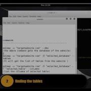 HACK A WEBSITE USING SQLMAP KALI LINUX 2 0