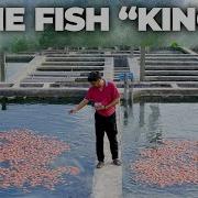 Private Tour Of Asia Fish Farmer S Secret Breeding Village