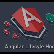Angular Life Cycle Hooks NgOnChange Vs NgDoCheck