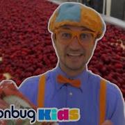 Blippi Visits A Raspberry Factory Blippi Kids Songs Moonbug Kids