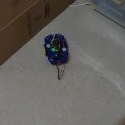 CircuitPython Robot Demo Adafruit Metro M0 Express