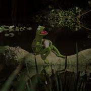 The Rainbow Connection Feat Myself Kermit The Frog Sing A Long Lyrics