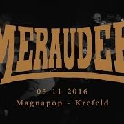 MERAUDER Full Set 05 11 2016