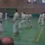 Egka Sandan Gi And Bunkai Pt2 Avi