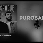 MACAN JAKONE Purosangue Трендовый трек для авто